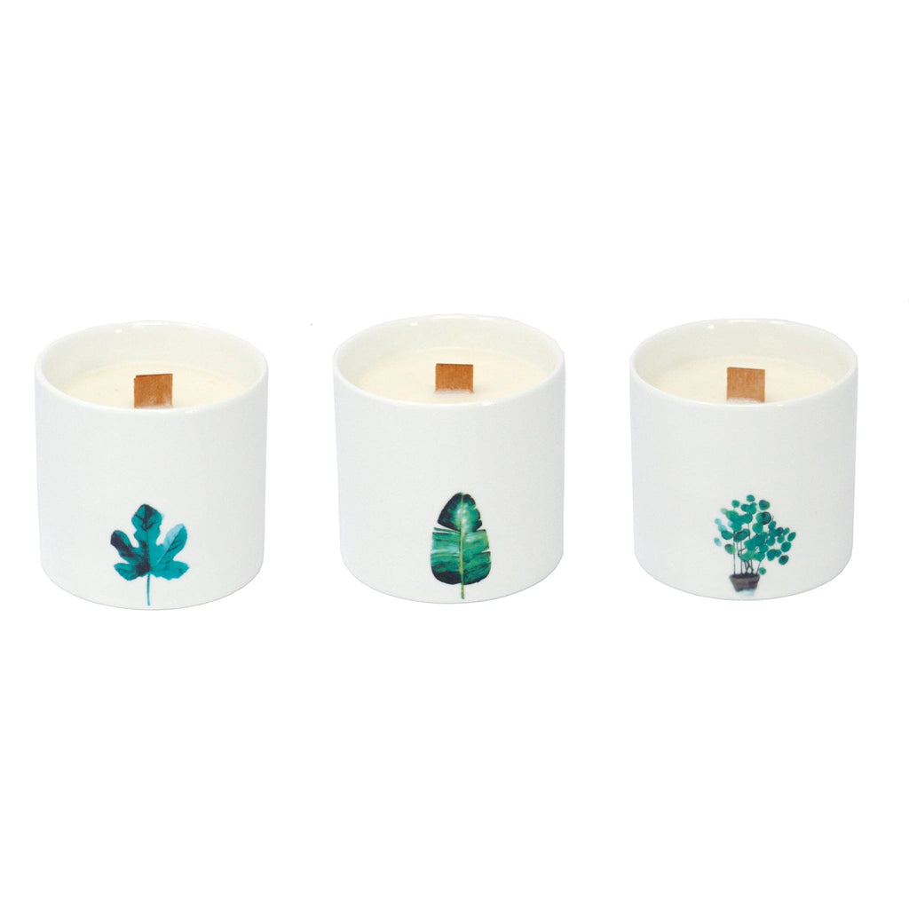 LCO EXCLUSIVE - Winter Double Wick Candle - 13 oz - THELIFESTYLEDCO Shop